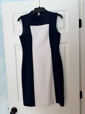 Calvin Klein Tank Blue/White Block Dress